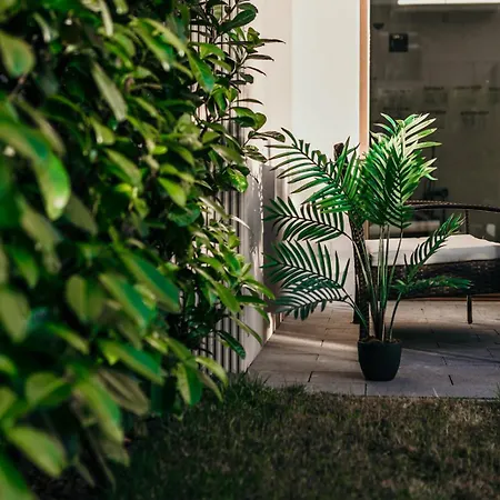 Sea Shell Stadium Brzezno Gdansk