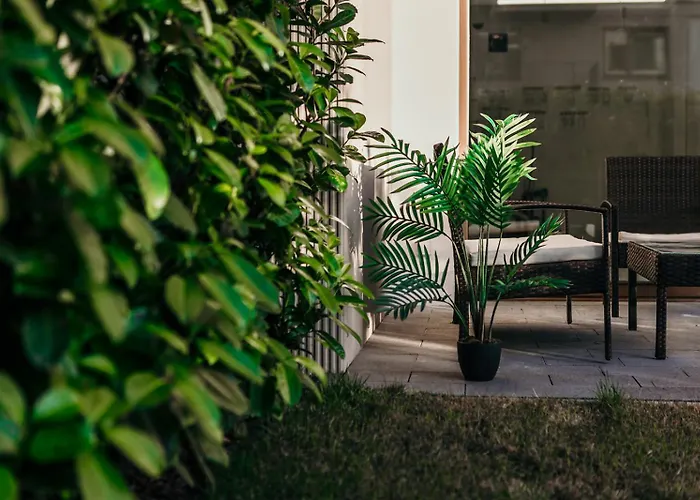 Sea Shell Stadium Brzezno Gdansk